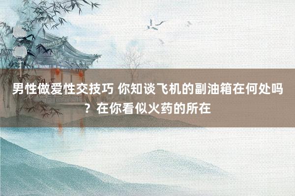 男性做爱性交技巧 你知谈飞机的副油箱在何处吗？在你看似火药的所在
