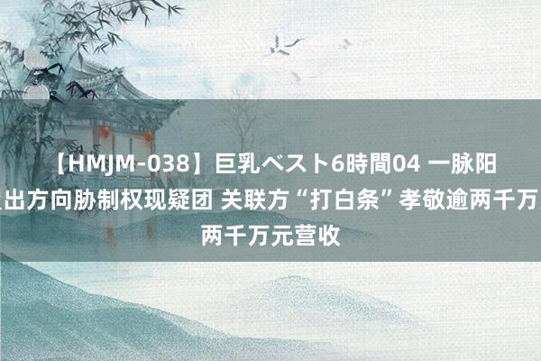 【HMJM-038】巨乳ベスト6時間04 一脉阳光：置出方向胁制权现疑团 关联方“打白条”孝敬逾两千万元营收