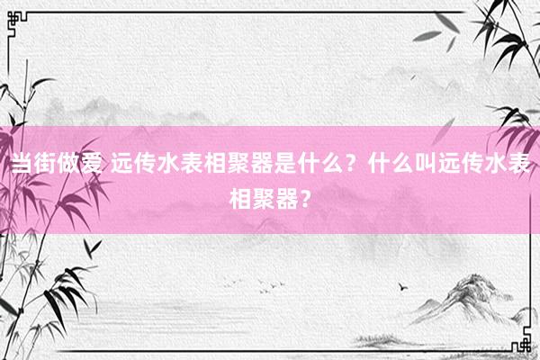 当街做爱 远传水表相聚器是什么？什么叫远传水表相聚器？