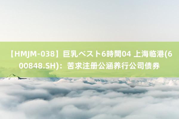 【HMJM-038】巨乳ベスト6時間04 上海临港(600848.SH)：苦求注册公涵养行公司债券