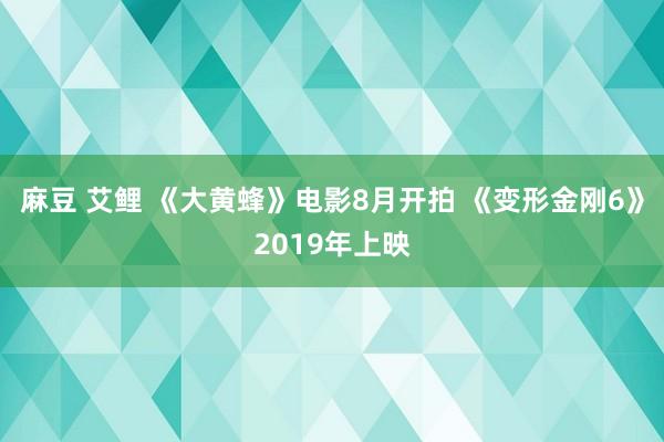 麻豆 艾鲤 《大黄蜂》电影8月开拍 《变形金刚6》2019年上映