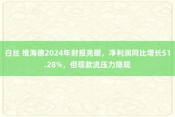 白丝 维海德2024年财报亮眼，净利润同比增长51.28%，但现款流压力隐现