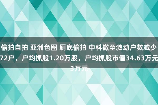 偷拍自拍 亚洲色图 厕底偷拍 中科微至激动户数减少72户，户均抓股1.20万股，户均抓股市值34.63万元