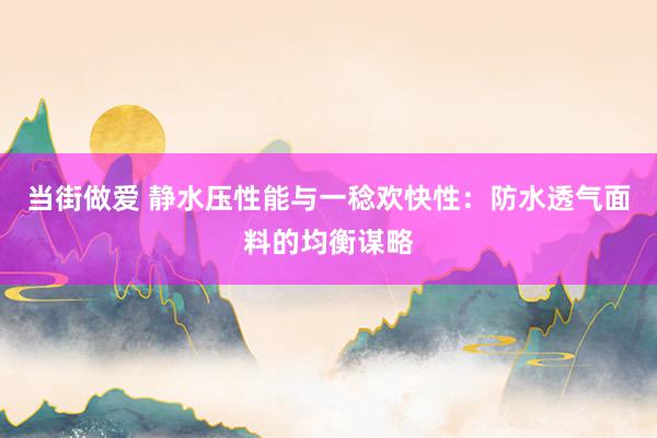当街做爱 静水压性能与一稔欢快性：防水透气面料的均衡谋略