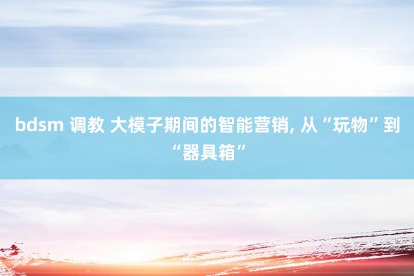 bdsm 调教 大模子期间的智能营销， 从“玩物”到“器具箱”